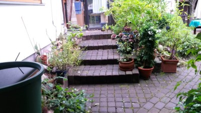 images/Referenzen/aussenanlage/big_36011395_0_400-225.jpg#joomlaImage://local-images/Referenzen/aussenanlage/big_36011395_0_400-225.jpg?width=400&height=225